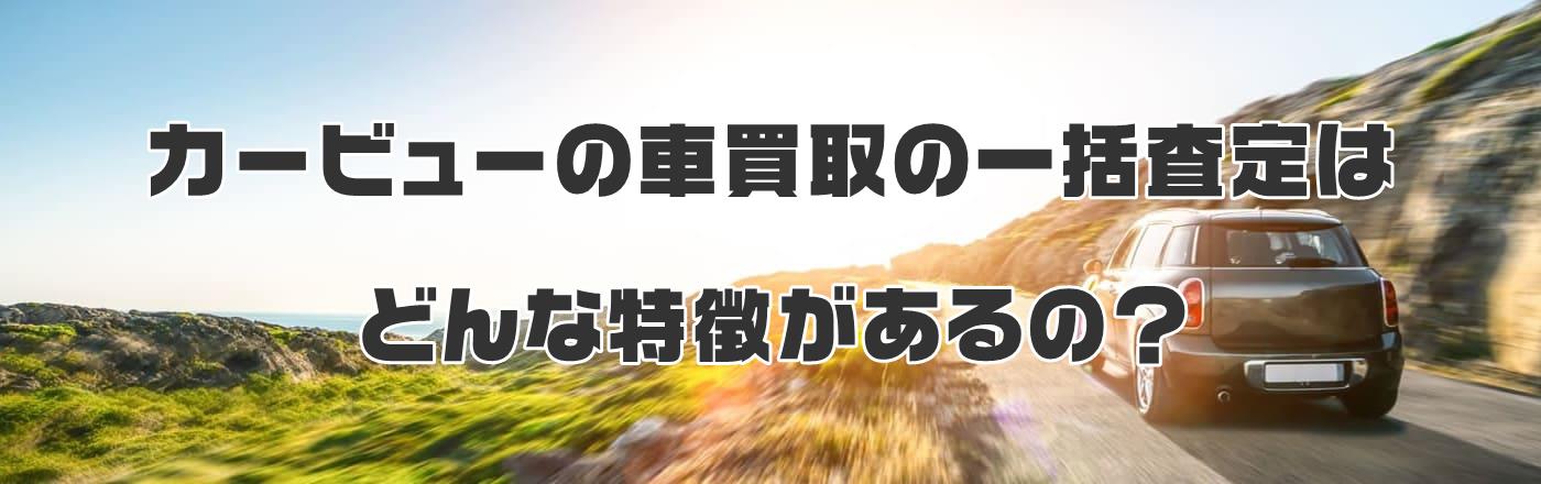 �J�[�r���[�̎Ԕ���̈ꊇ����͂ǂ�ȓ���������́H